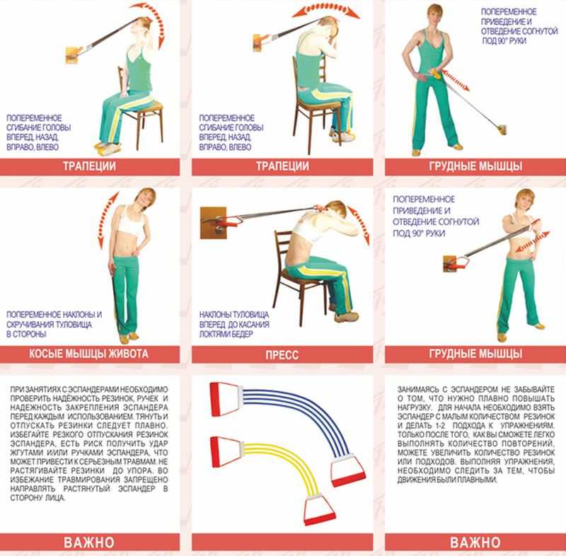 Упражнения с эспандером для мужчин в домашних условиях в картинках пружинным