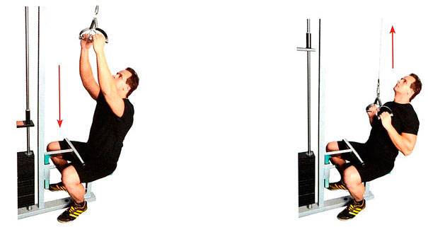 Тяга вертикального блока к груди: базовое упражнение для мышц спины