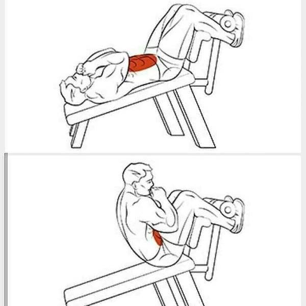 Как накачать рельефный пресс и получить красивые кубики пресса на животе