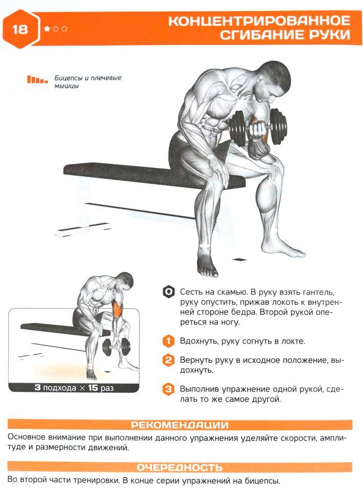 Упражнения на руки в тренажерном зале для мужчин