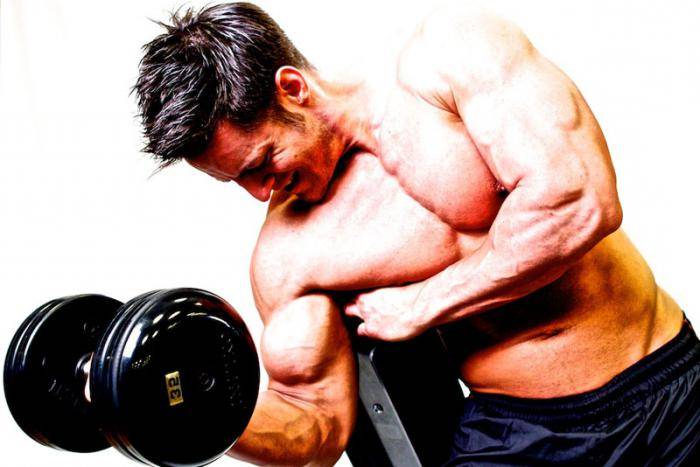 Упражнения для армрестлинга — рекомендации по программе тренировок