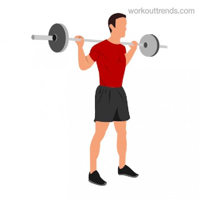 Тяга штанги к поясу в наклоне