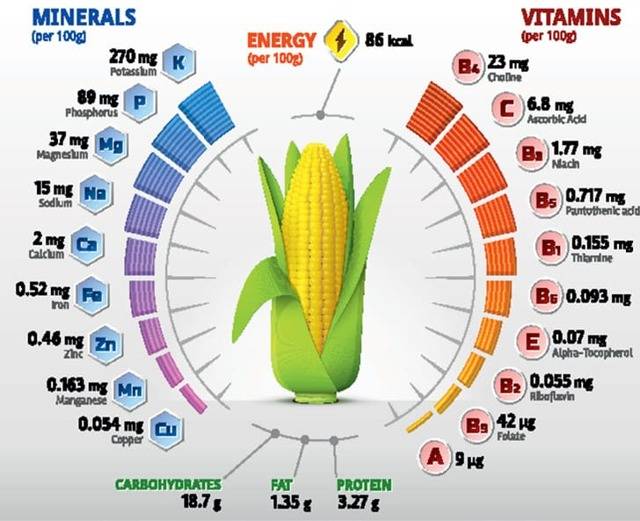 Калорийность кукурузы
