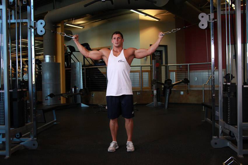 Упражнения на бицепс – лучшая подборка самых эффективных