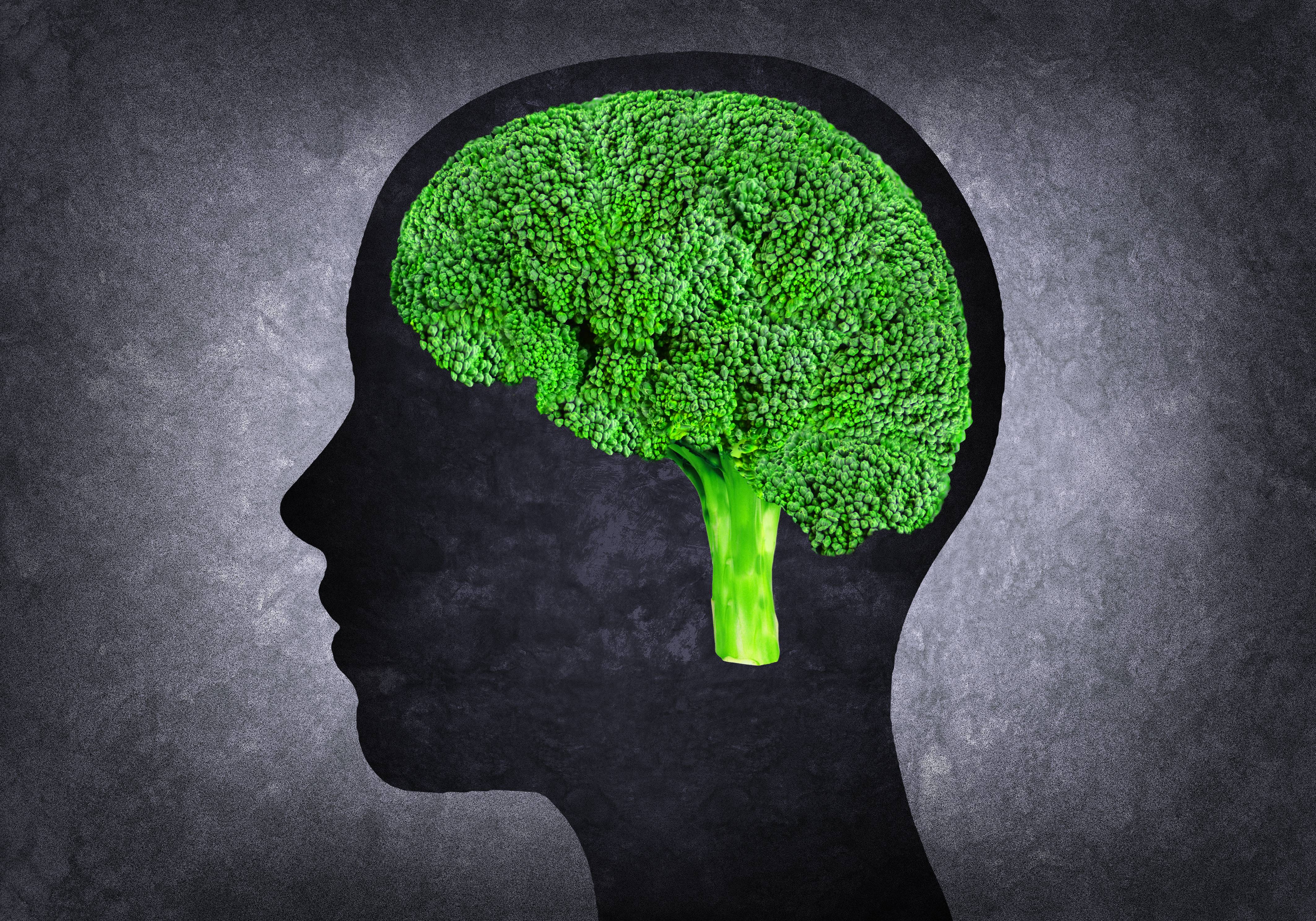 Мозг принимает сигналы. Мозг и природа. Пища для мозга. Зеленый мозг.