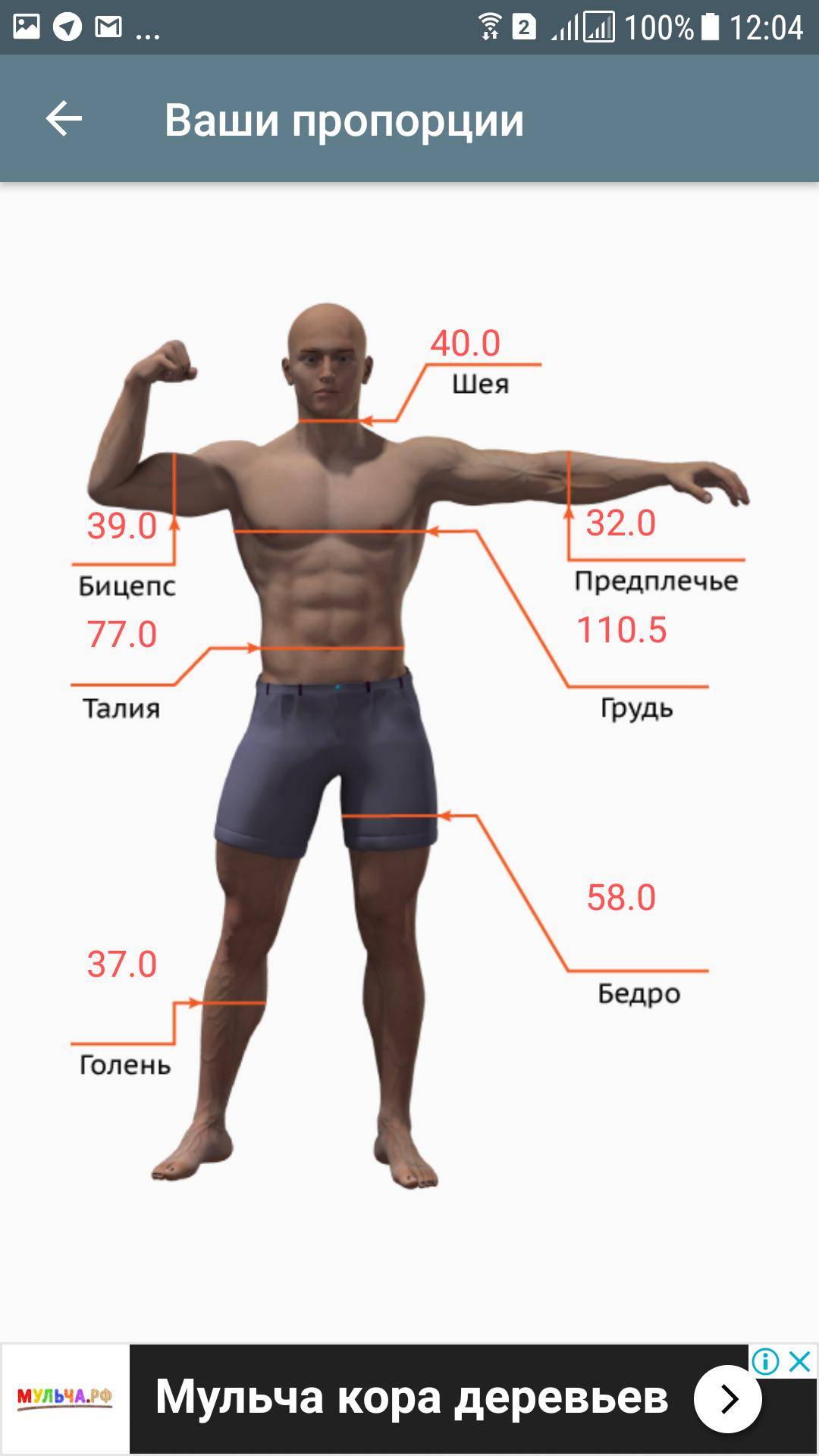 Идеальные пропорции тела