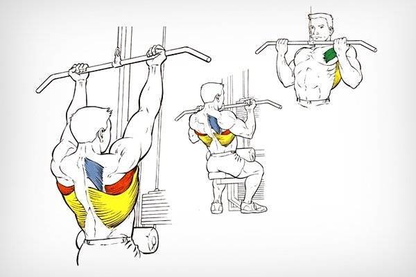 Упражнения на крылья с гантелями. как накачать крылья в домашних условиях. развиваем на турнике