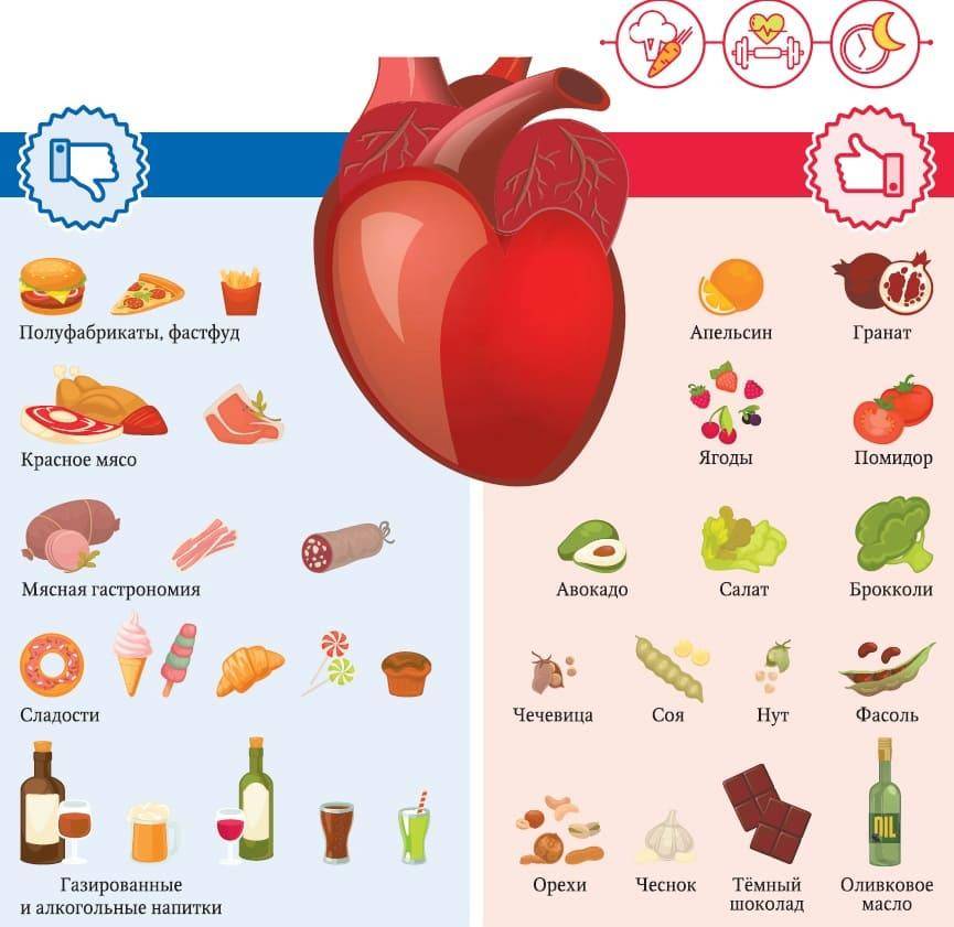 Полезные продукты для сердца и сосудов - советы по питанию