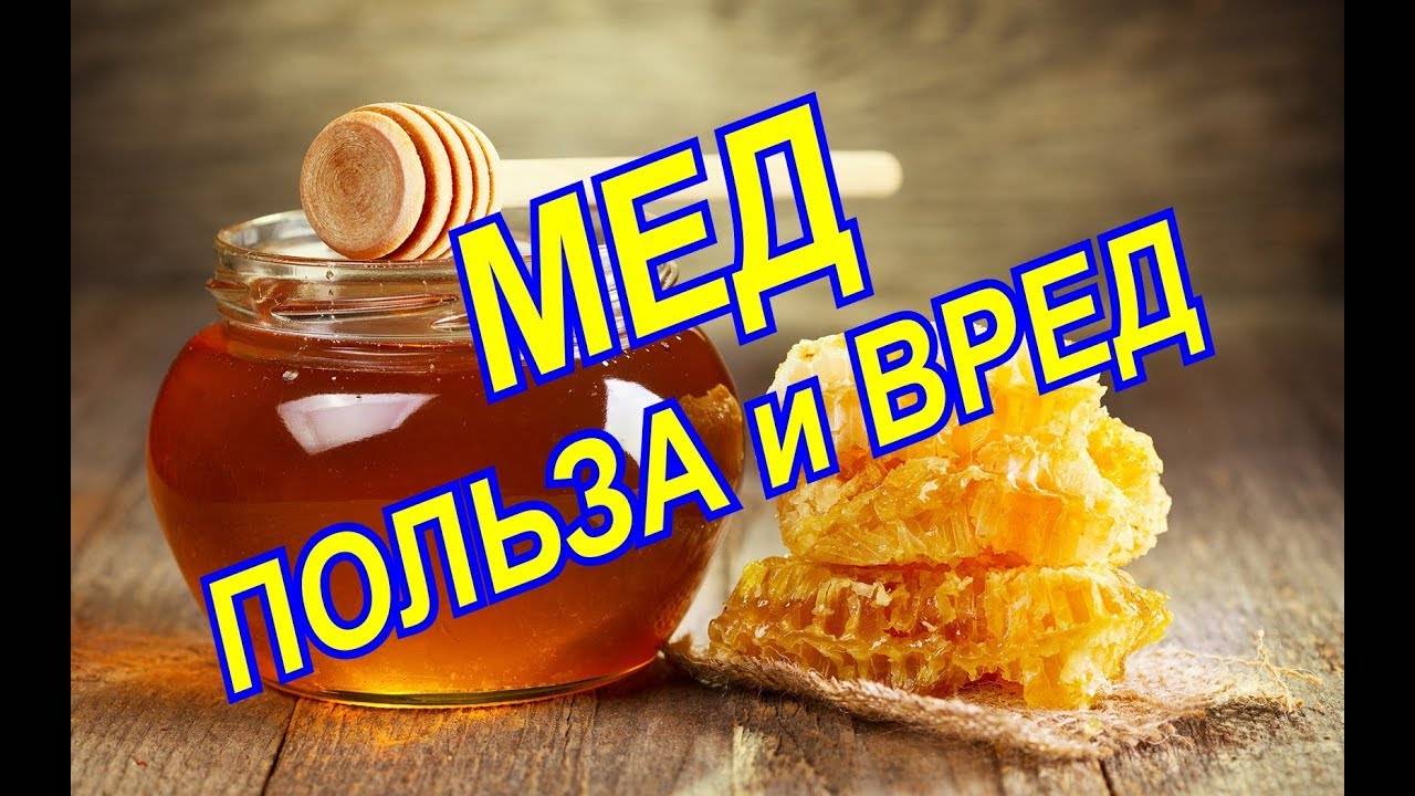 Польза меда для здоровья. Мед полезный продукт. Мёд и здоровье. Чем полезен мед. Мед польза и вред.