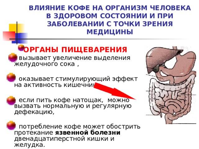 Вредно ли кофе для печени