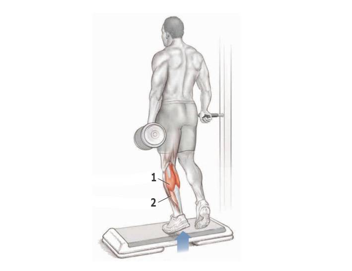 Подъем ног в висе на турнике (toes to bar)