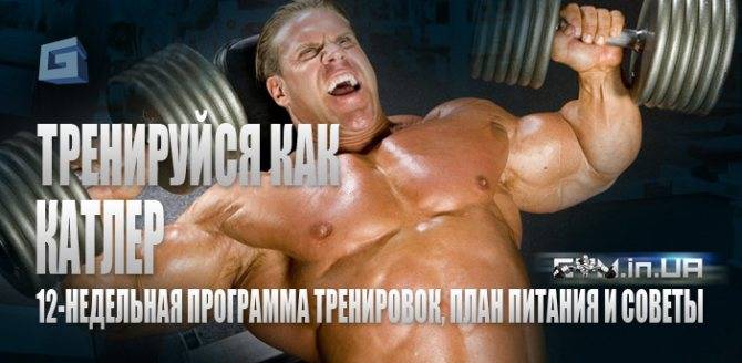 Бодибилдер джей катлер: биография, тренировки, принципы питания и интервью