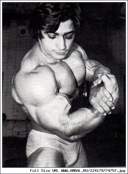 Денни падилла