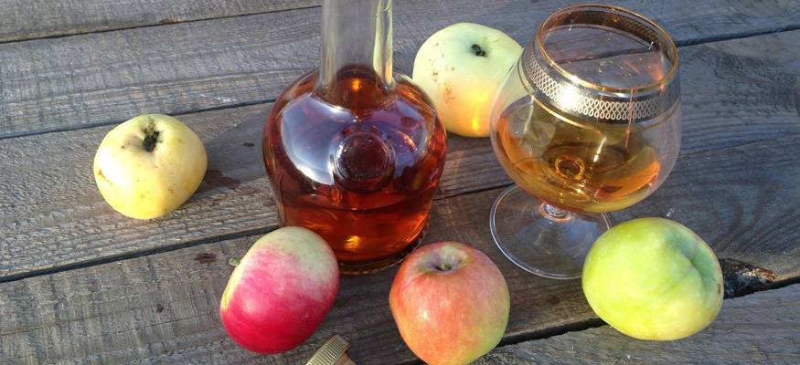 Рецепт кальвадоса из яблок в домашних условиях по классическому рецепту с дубовой щепой. кальвадос из яблок дома на водке или самогоне - womens-24