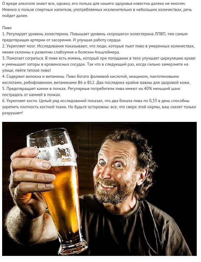 Что выпить перед употреблением алкоголя. что съесть перед алкоголем