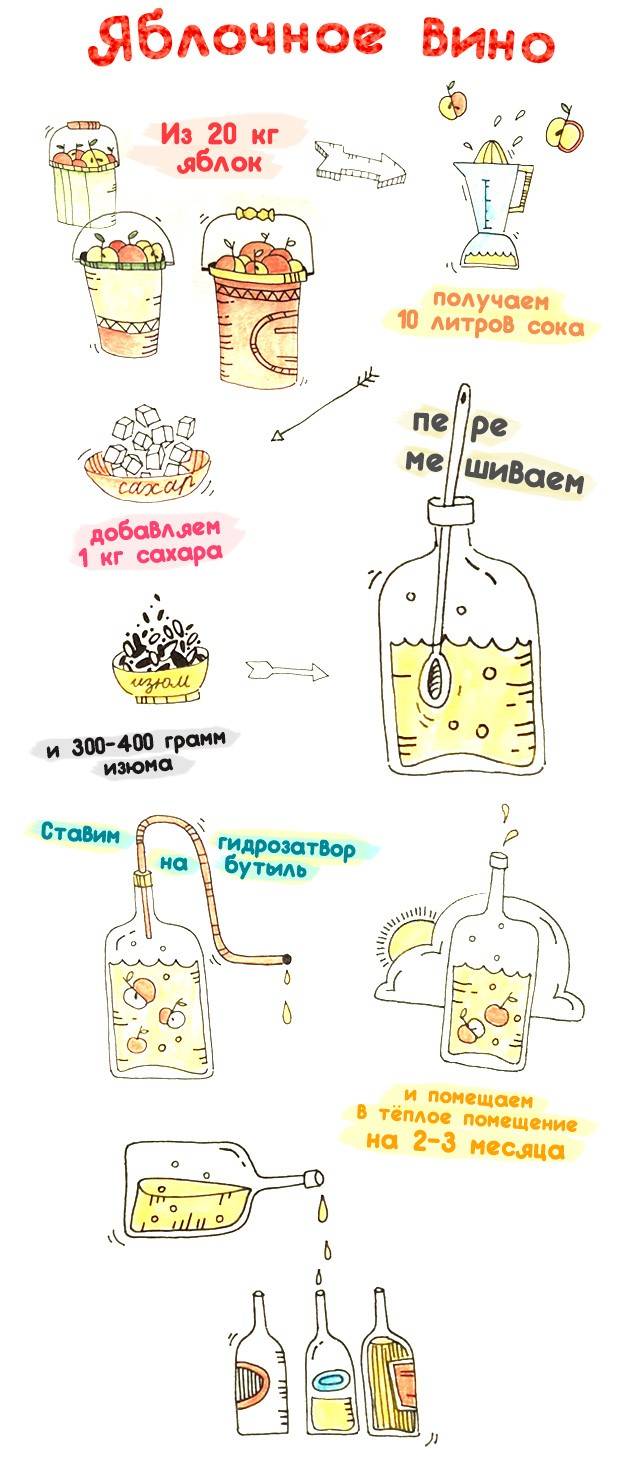 Вино простой рецепт пошаговый. Как приготовить сидр из яблок в домашних условиях простой. Как делать яблочное вино в домашних условиях. Яблочное вино рецепт. Яблочное вино в домашних рецепты.