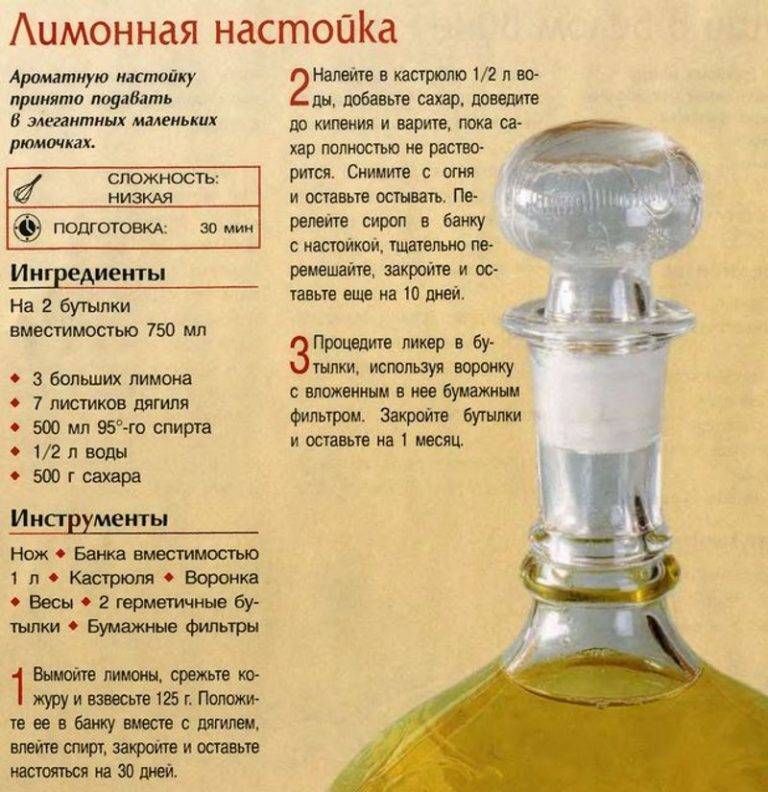 Традиционные русские домашние алкогольные напитки: настойки