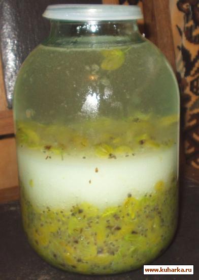 Наливка из крыжовника: 6 рецептов в домашних условиях