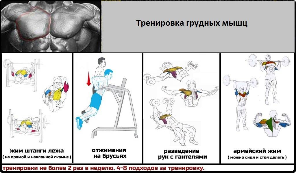 Как накачать пресс в домашних условиях до рельефных кубиков быстро: лучшие упражнения на верхние и нижние мышц живота