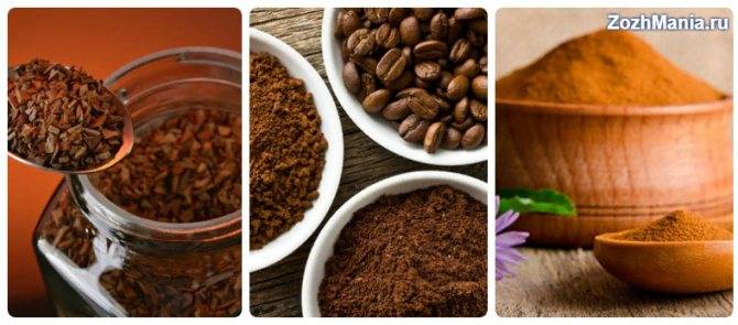 Чем полезен цикорий при похудении и упадке сил, 3 рецепта напитка