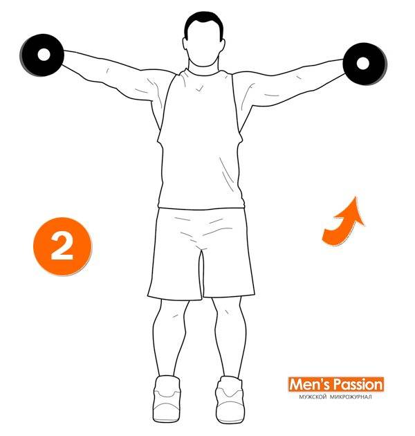 Разведение гантелей в стороны в наклоне | бомба тело