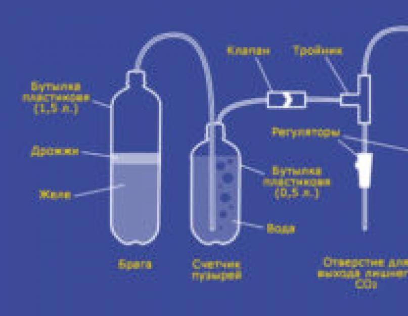 Рецепт браги без дрожжей из хлеба