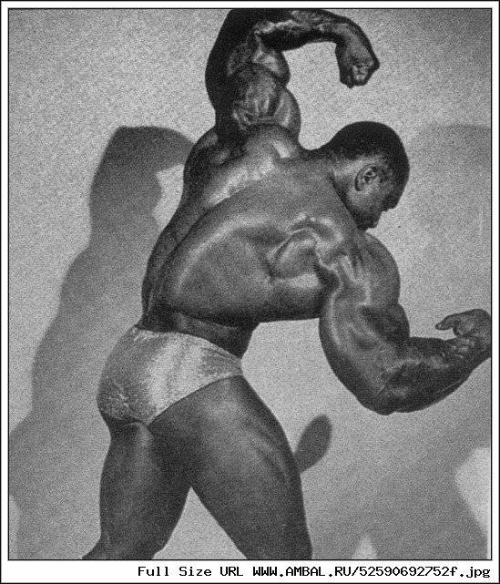 Евгений сандов: система тренировок, биография, рост и вес