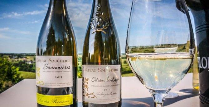 Бургундия, вина бургундии, бургундия винодельческий регион | все про вино