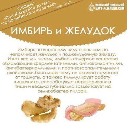 Полезные свойства имбиря