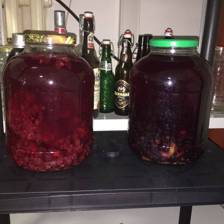 Настойки и наливки из самогона: лучшие рецепты, как приготовить