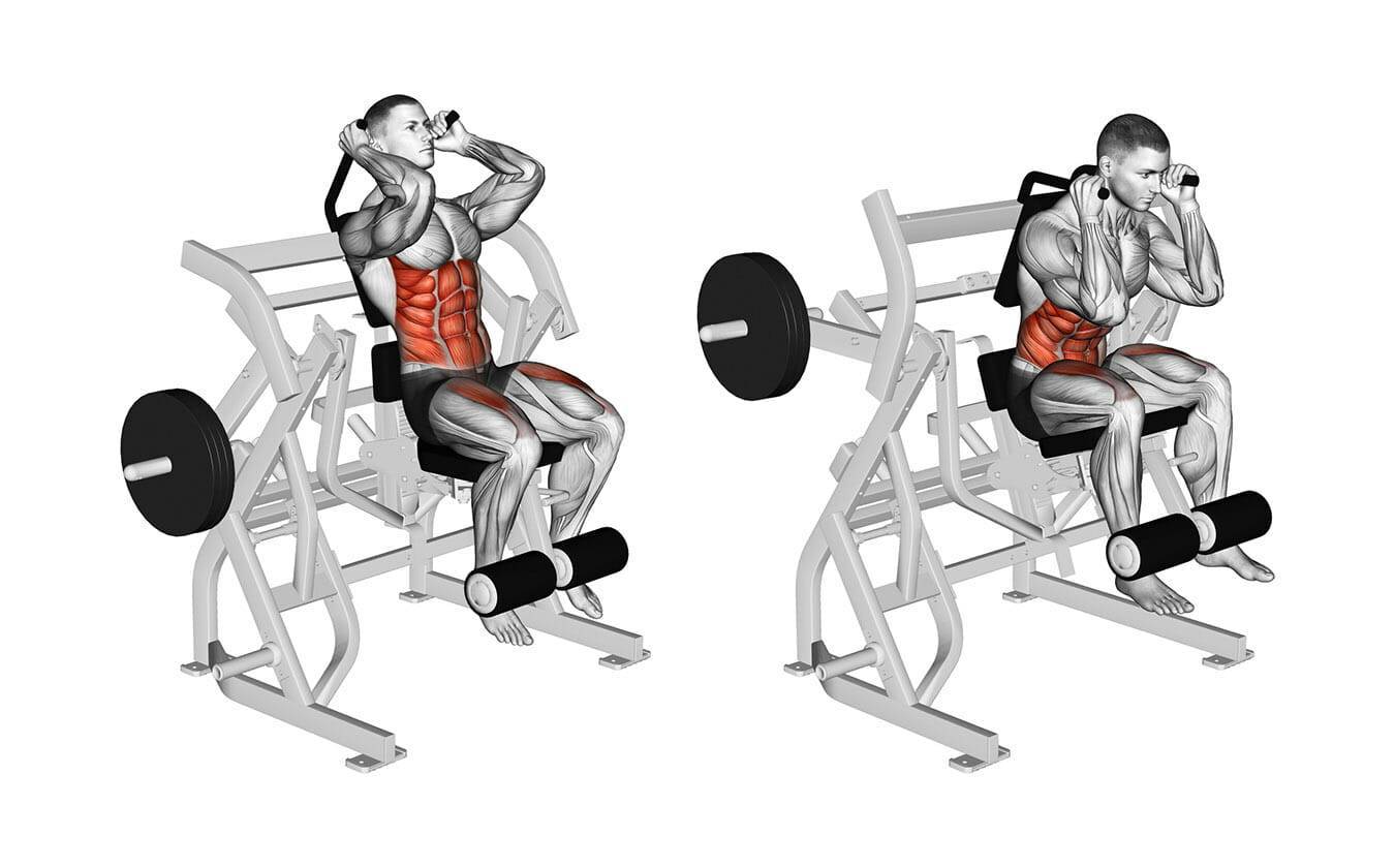 Лучшие тренажеры для мышц живота: как накачать пресс в тренажере