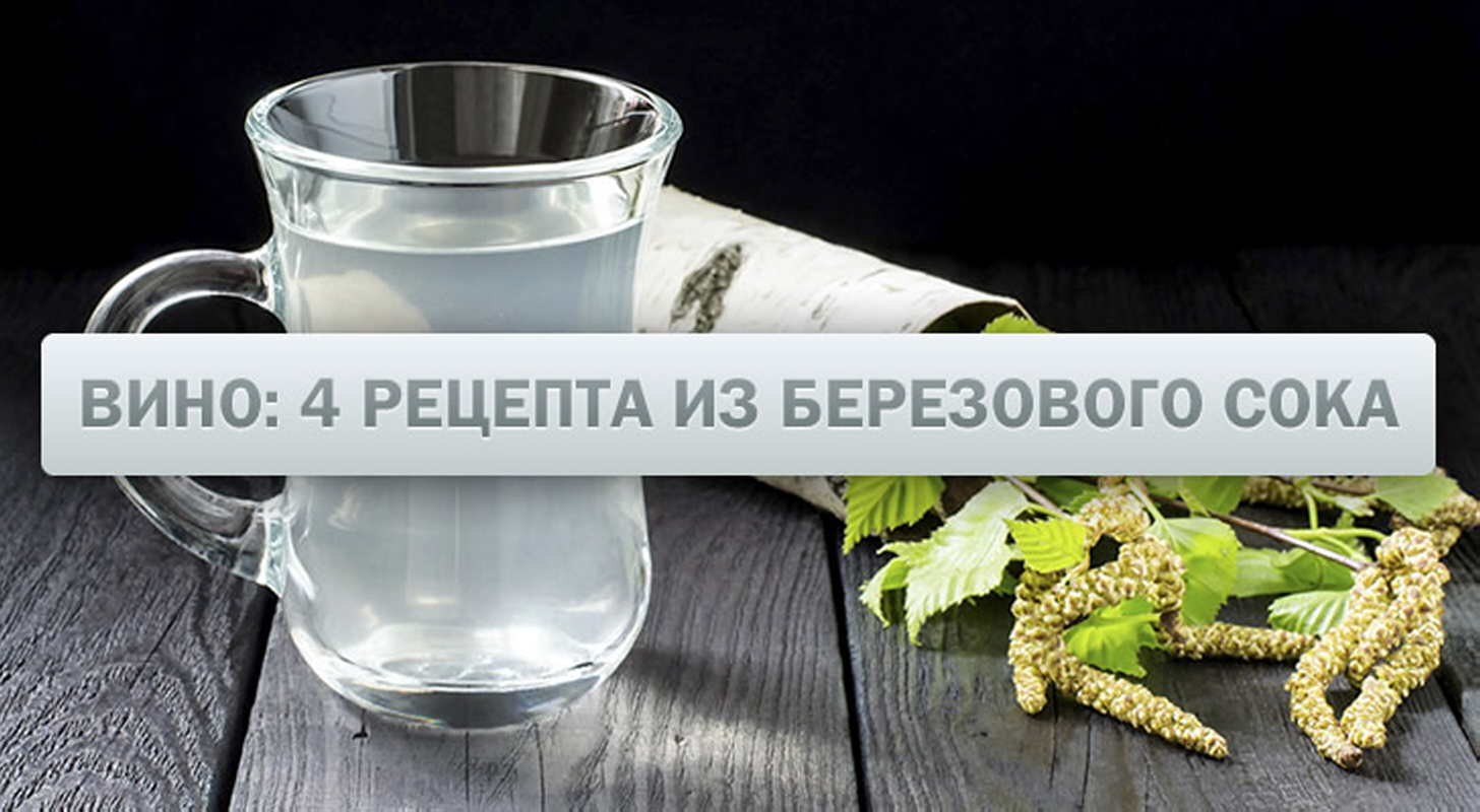 Домашнее вино из березового сока