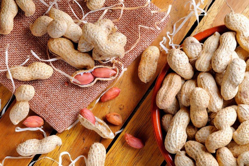 Арахис — польза и вред для нашего организма