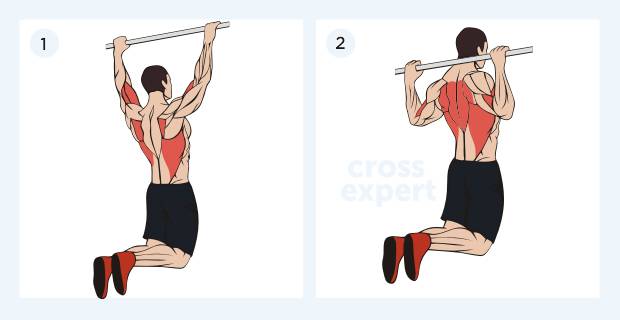 Подтягивания узким хватом – польза и техника