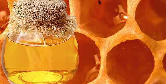 Мед: польза и вред для здоровья организма