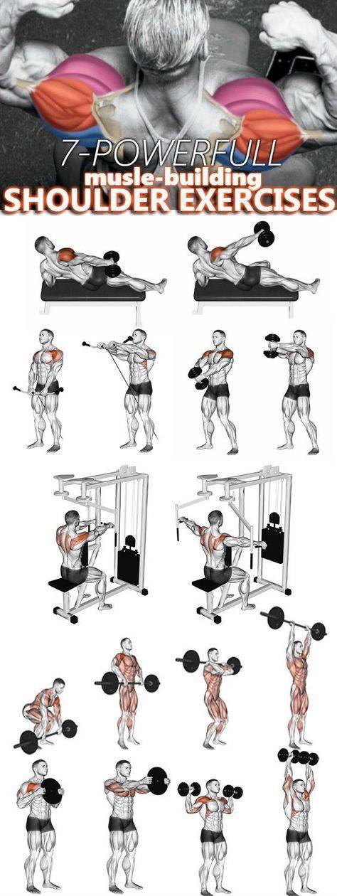 Лучшие упражнения на плечи в тренажерном зале для мужчин на рельеф с картинками