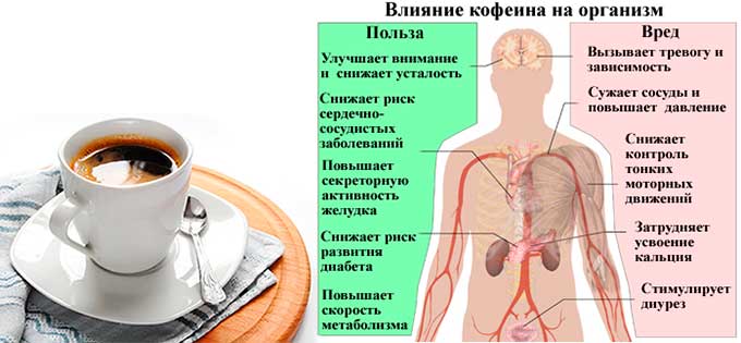 Какое воздействие оказывает кофе на печень: когда и сколько пить напитка без вреда для железы