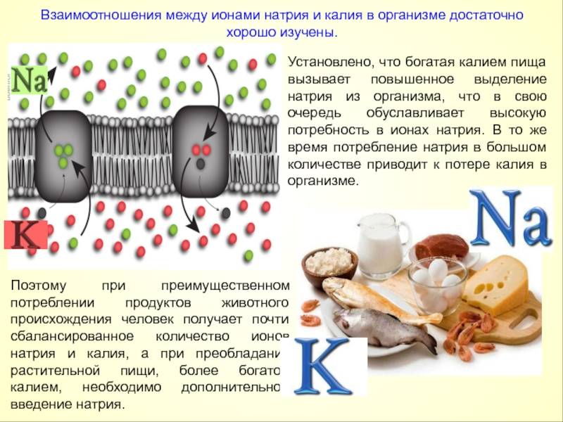 Натрий для человека в каких продуктах. Функции ионов натрия в организме человека. Функции натрия и калия в организме человека. Роль ионов калия и натрия в организме человека.