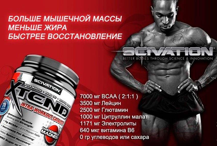 Xtand bcaa - как правильно и эффективно принимать средство?