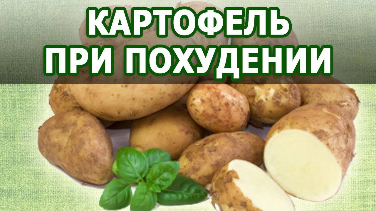 Калорийность картофеля, приготовленного разными способами