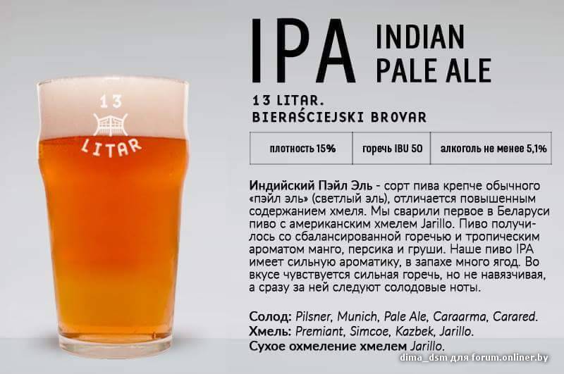 Чем отличается пиво от пивного. Пиво сорта ИПА. ИПА разливное пиво. Пиво Индиан Пэйл Эль. Пиво Эль ИПА.