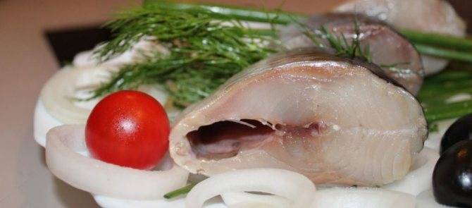 Сельдь (селедка): польза и вред для организма