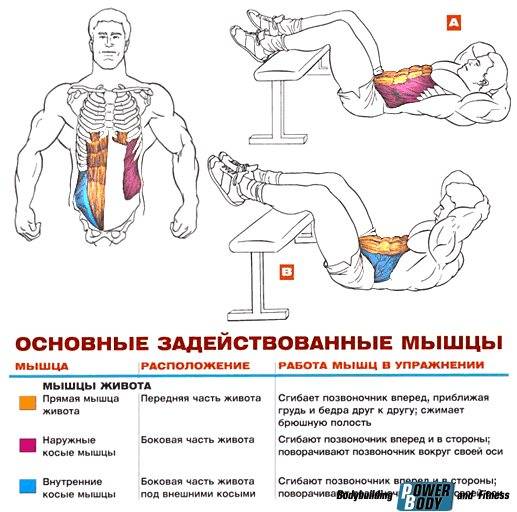 Скручивания на наклонной скамье: техника выполнения, ошибки