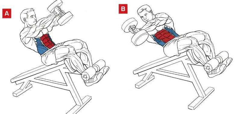 Скручивания на пресс: виды и техника выполнения упражнений