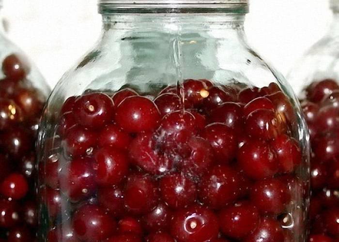 Ликер пассоа: описание, история + 8 рецептов коктейлей