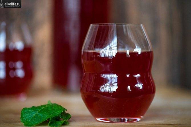 Настойка из черемухи на водке, спирту исамогоне по простому рецепту в домашних условиях