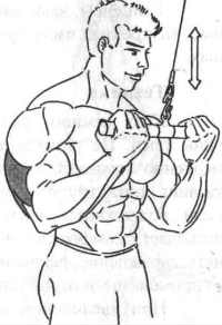 Разгибание рук на блоке. техника выполнения и нюансы