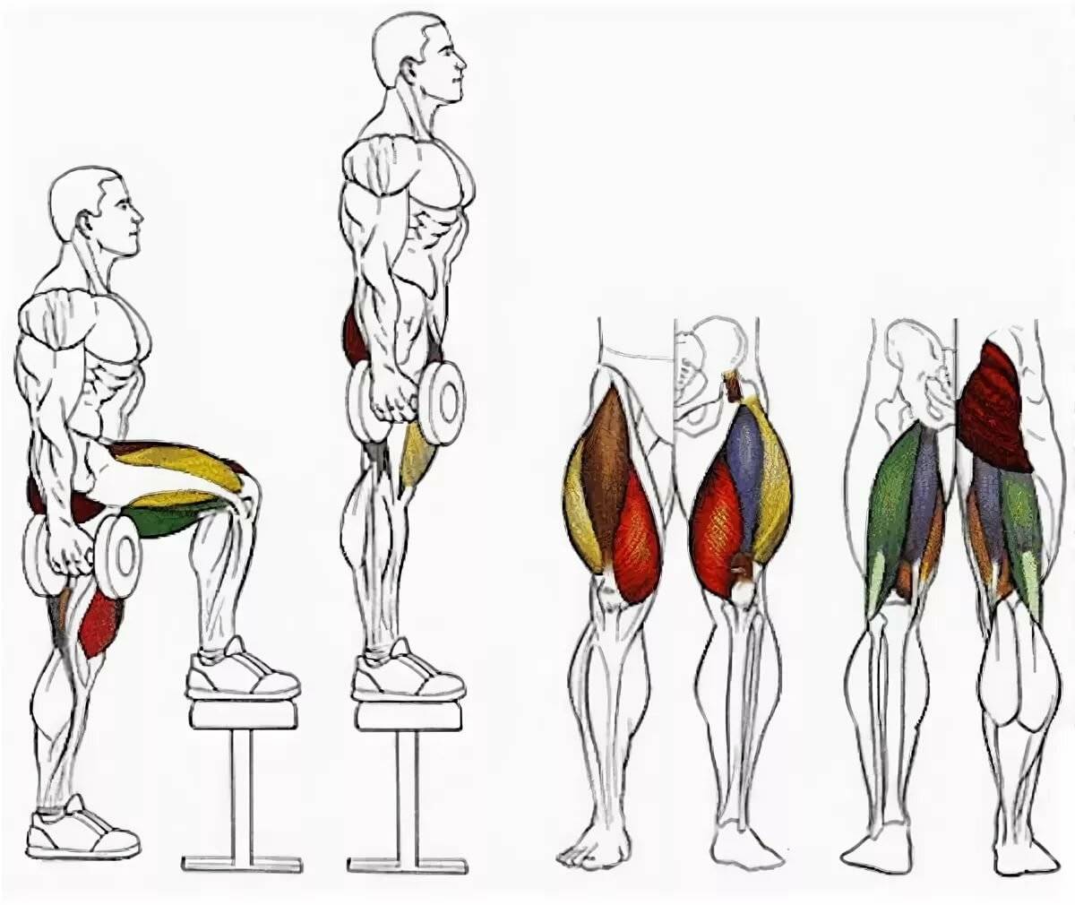 Комплексы упражнений для ног - как быстро накачать мышцы в домашних условиях мужчинам или женщинам