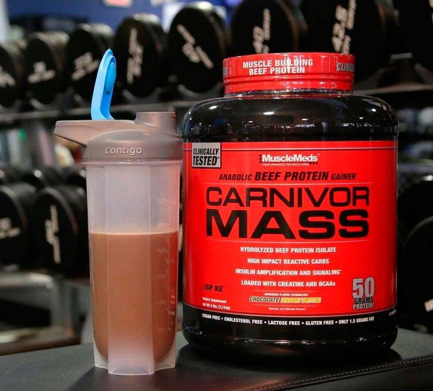 Калорийность протеин carnivor [musclemeds]. химический состав и пищевая ценность