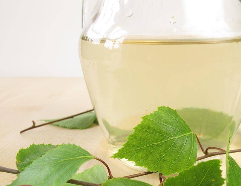 Березовый сок: 8 рецептов приготовления домашней консервации